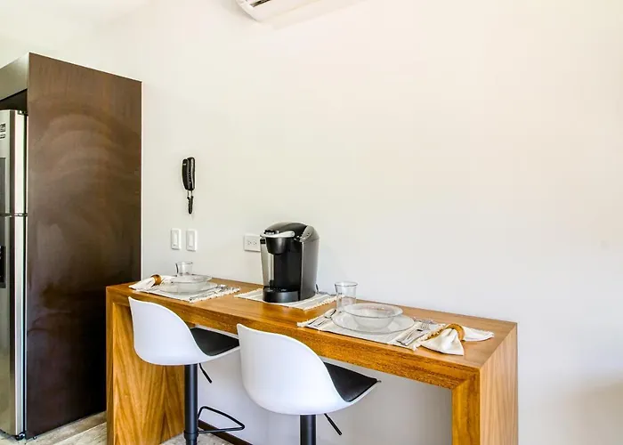 Menesse #204a Downtown Hotel *